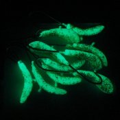 Mygglarv XL - Glow med Guldglitter - 6 mm 2
