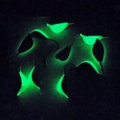 Snäckan - Svart-Vit med Glow - 5 mm 2