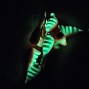 Droppe med öga - Röd/Silver Svarta Ränder Glow - 2,5 mm natt