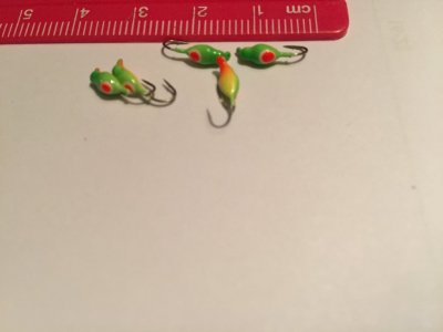 Nymf - Glödande Papegoja - 2,5 mm