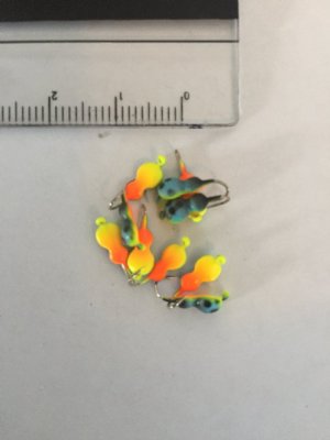 Halv Maggot - Blå papegoja med prickar glow - 3 mm