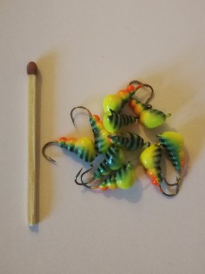 Myran - Blå Papegoja med Ränder - Glow - 6 mm