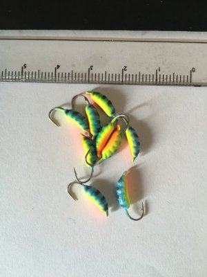 Maggot - Blå Papegoja med ränder - 3 mm