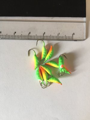 Maggot - Glödande Papegoja - 3 mm